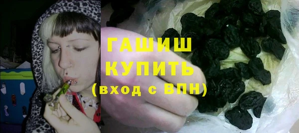 стаф Богданович