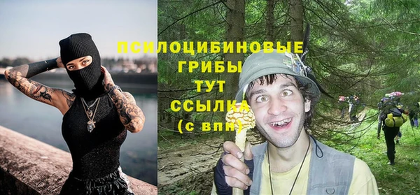 винт Белокуриха