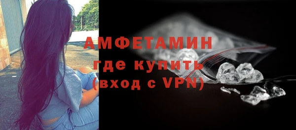 стаф Богданович