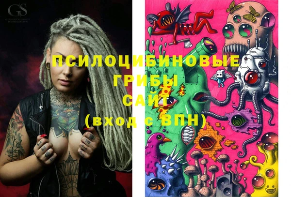 стаф Богданович
