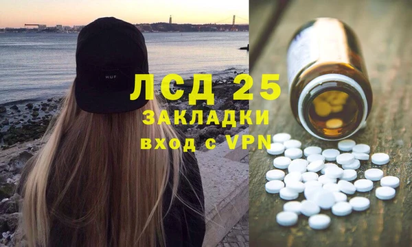 стаф Богданович