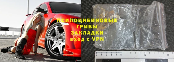 стаф Богданович